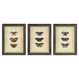 3-Piece Butterfly Collection Framed Wall Art