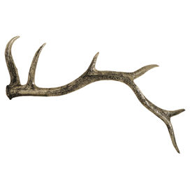 Bradford Antler Decor