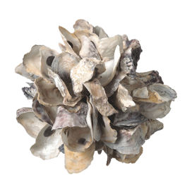 Small Oyster Sphere Decor