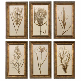6-Piece Wheat Grass Framed Print Set