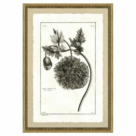 botanical framed iii